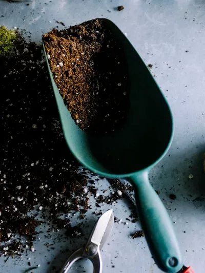 Lawn Maintenance