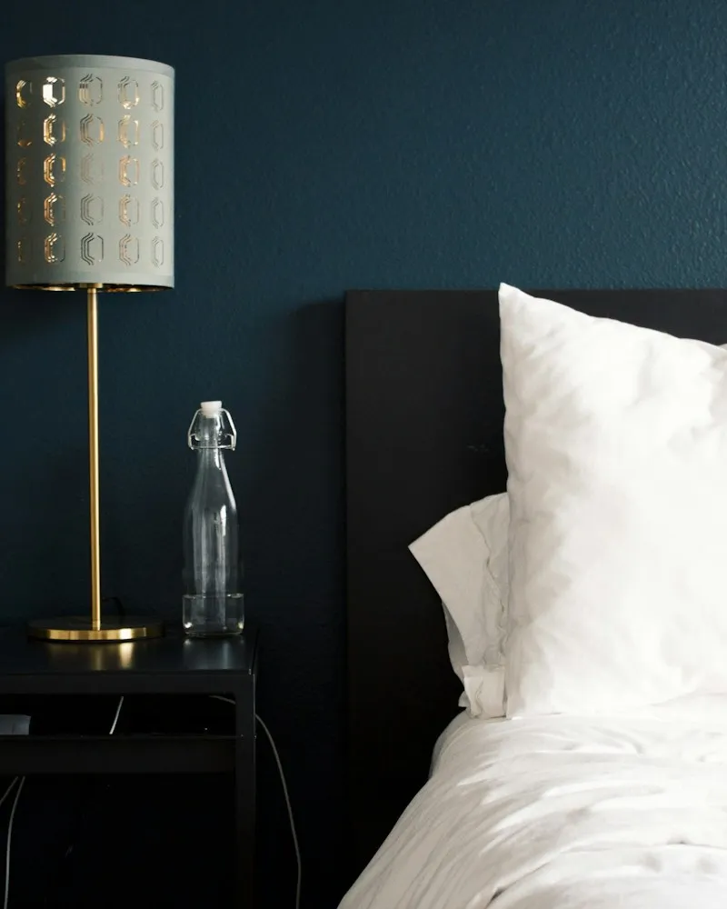 White pillows and a bedside lamp in a dark hotel room