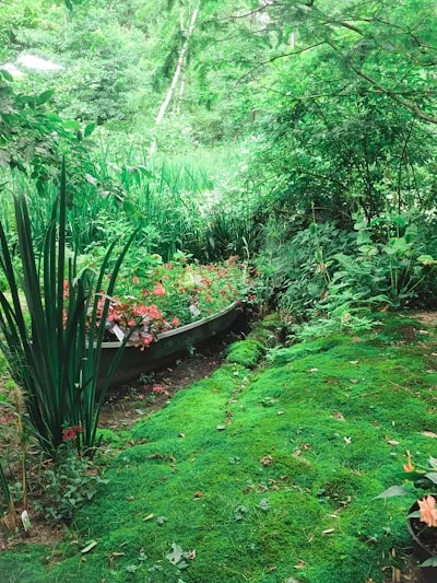 Irrigation Systems